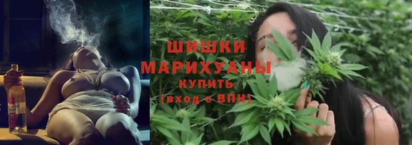PSILOCYBIN Вязьма