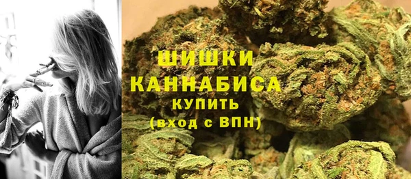 PSILOCYBIN Вязьма