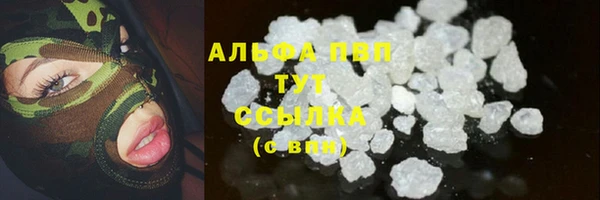 PSILOCYBIN Вязьма