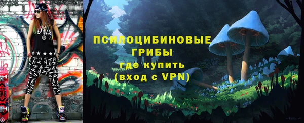 PSILOCYBIN Вязьма