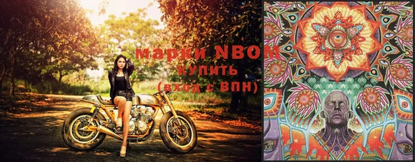 PSILOCYBIN Вязьма