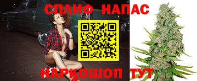 не бодяженный Камышлов