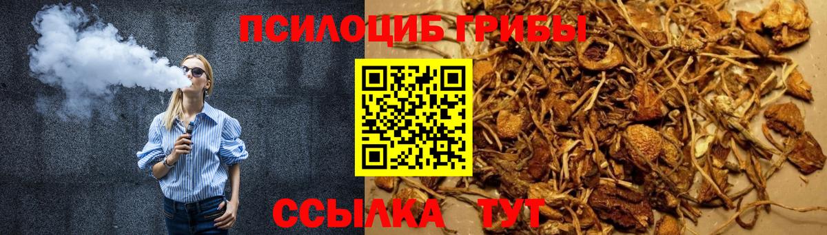 Псилоцибиновые грибы Psilocybe  Галлюциногенные грибы MAGIC MUSHROOMS  Вход с VPN  Люберцы 